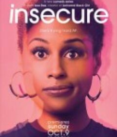 不安感 第一季 Insecure Season 1            (2016)