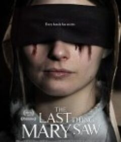 最后一眼 The Last Thing Mary Saw            (2021)