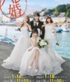 后宫婚 ハレ婚。            (2022)