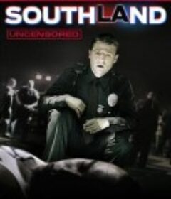 南城警事 第一季 Southland Season 1            (2009)