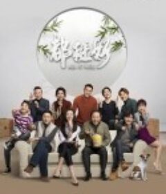 都挺好            (2019)