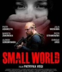 危险世界 SMALL WORLD            (2021)