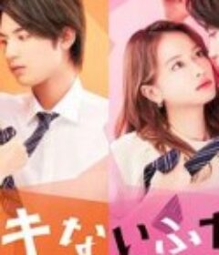 没用的两个人 デキないふたり            (2022)