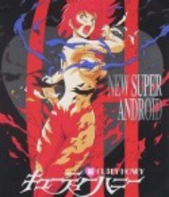 新·甜心战士 新・キューティーハニー            (1994)