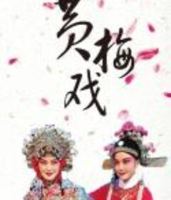 黄梅戏视频 117部