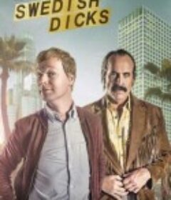 瑞典混蛋侦探社 Swedish Dicks            (2016)