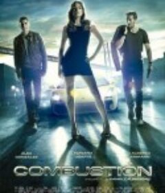 燃烧 Combustión            (2013)