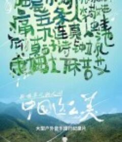 中国这么美            (2021)