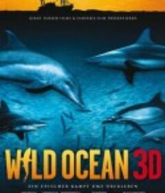 狂野之海 Wild Ocean 3D            (2008)