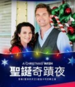 圣诞奇迹夜 A Christmas Wish            (2019)