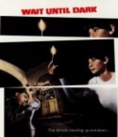 盲女惊魂记 Wait Until Dark            (1967)