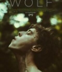 狼 Wolf            (2021)