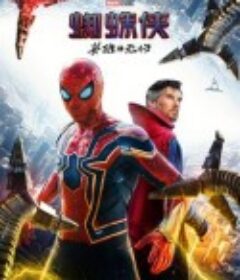蜘蛛侠：英雄无归 Spider-Man: No Way Home            (2021)