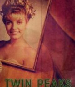 双峰：遗失的碎片 Twin Peaks: The Missing Pieces            (2014)