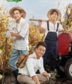 向往的生活 第一季            (2017)