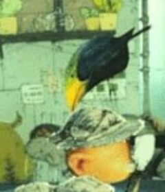 远近的魔法箱 遠近法の箱            (1990)