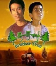 哥哥树            (2005)