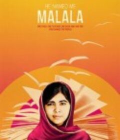 他叫我马拉拉 He Named Me Malala            (2015)