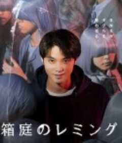 箱庭的旅鼠 箱庭のレミング            (2021)