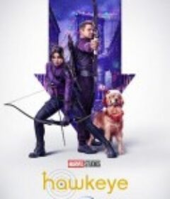 鹰眼 Hawkeye            (2021)