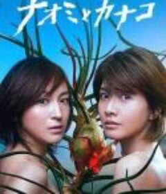 直美与加奈子 ナオミとカナコ            (2016)