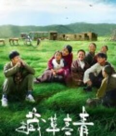 藏草青青            (2021)