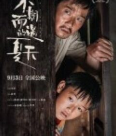 不期而遇的夏天            (2020)