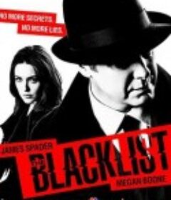 罪恶黑名单 第九季 The Blacklist Season 9            (2021)