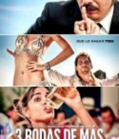 婚礼三个多 Tres bodas de más            (2013)