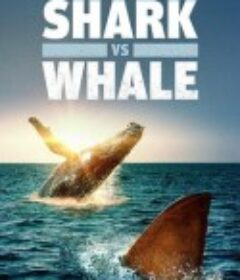 鲨与鲸 Shark vs. Whale            (2020)
