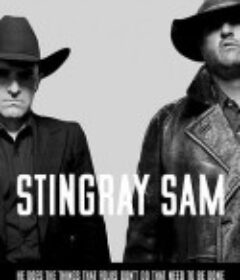 西部牛仔太空歌舞剧 Stingray Sam            (2009)