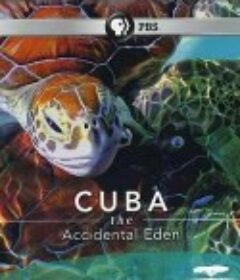 古巴：意外的伊甸园 Nature Cuba: The Accidental Eden            (2010)