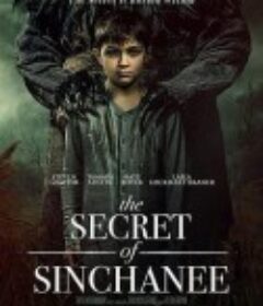 老房之秘 The Secret of Sinchanee            (2021)