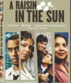日光下的葡萄干 A Raisin in the Sun            (2008)