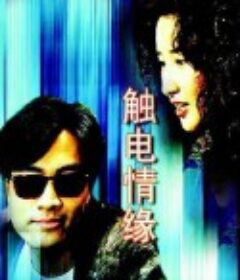 触电情缘            (1991)