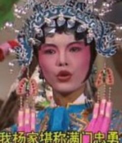 龙凤呈祥            (1994)