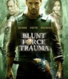 枪火游戏 Blunt Force Trauma            (2015)