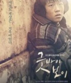 再见，男孩 굿바이 보이            (2010)