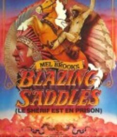灼热的马鞍 Blazing Saddles            (1974)