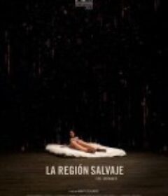 野蛮地区 La region salvaje            (2016)