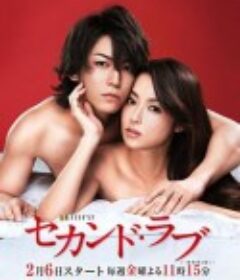 第二爱情 セカンド・ラブ            (2015)