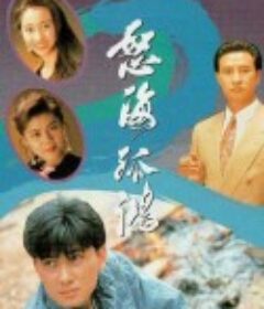 怒海孤鸿 怒海孤鴻         （1991）