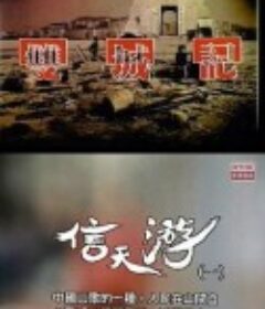 《双城记》系列 雙城記            (1990)