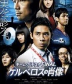 白色荣光最终篇：地狱犬的肖像 チーム・バチスタFINAL ケルベロスの肖像            (2014)