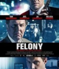 罪不可赦 Felony            (2013)