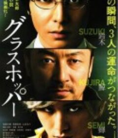 蚱蜢 グラスホッパー            (2015)