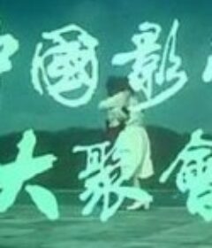 中国影星大聚会            (1985)