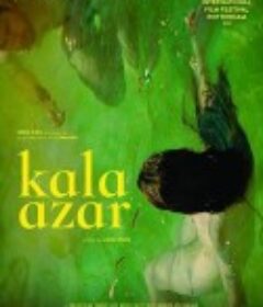 黑热病 Kala azar            (2020)