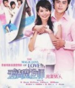 爱情魔发师            (2006)