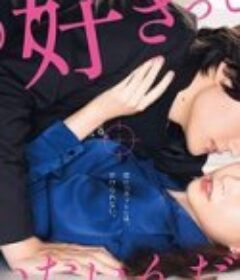 我只是想说喜欢你 つまり好きって言いたいんだけど、            (2021)